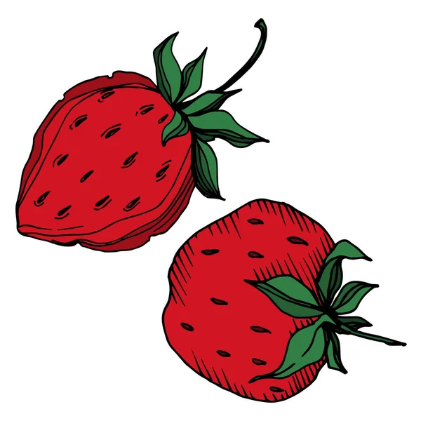 Vecteur fraise fraîche baie aliments sains. Encre gravée en noir et blanc. Élément d'illustration isolé à la fraise . — Image vectorielle