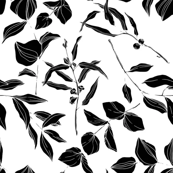 Vector Eucalyptus árbol hojas de la selva botánica. Tinta grabada en blanco y negro. Patrón de fondo sin costuras . — Vector de stock