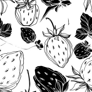 Vektör çilek taze böğürtlen sağlıklı yiyecek. Siyah beyaz işlemeli mürekkep sanatı. Kusursuz arkaplan deseni.