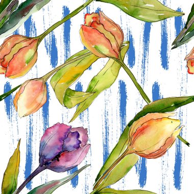 Lale çiçek botanik çiçekleri. Suluboya arka plan illüstrasyon seti. Kesintisiz arka plan deseni.