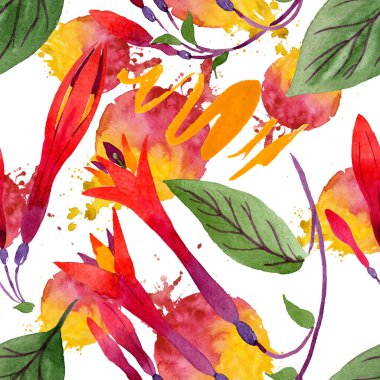 Kırmızı fuşya çiçekli botanik çiçekleri. Suluboya arkaplan çizimi. Kusursuz arkaplan deseni.
