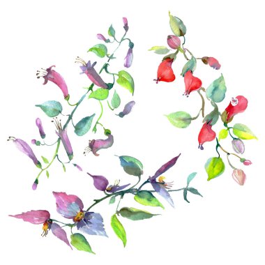 Buket çiçek botanik çiçekler. Suluboya arka plan illüstrasyon seti. İzole buketleri illüstrasyon elemanı.