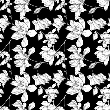 Vektör Magnolia çiçek botanik çiçekleri. Siyah beyaz işlemeli mürekkep sanatı. Kusursuz arkaplan deseni.
