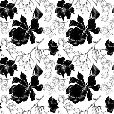 Vektör Magnolia çiçek botanik çiçekleri. Siyah beyaz işlemeli mürekkep sanatı. Kusursuz arkaplan deseni.