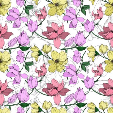 Vektör Magnolia çiçek botanik çiçekleri. Siyah beyaz işlemeli mürekkep sanatı. Kusursuz arkaplan deseni.