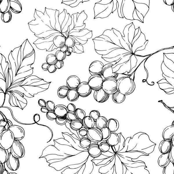 Vector Baya de uva comida saludable. Tinta grabada en blanco y negro. Patrón de fondo sin costuras . — Vector de stock
