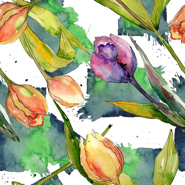 Lale çiçek botanik çiçekleri. Suluboya arka plan illüstrasyon seti. Kesintisiz arka plan deseni.