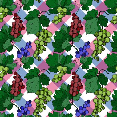 Vector Grape Berry sağlıklı yemek. Siyah beyaz işlemeli mürekkep sanatı. Kusursuz arkaplan deseni.