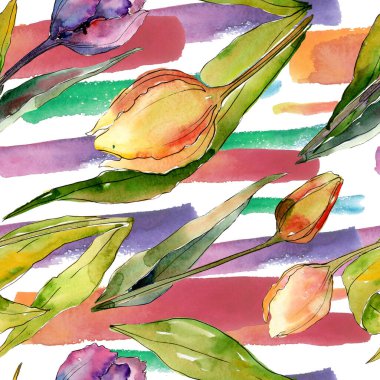 Lale çiçek botanik çiçekleri. Suluboya arka plan illüstrasyon seti. Kesintisiz arka plan deseni.