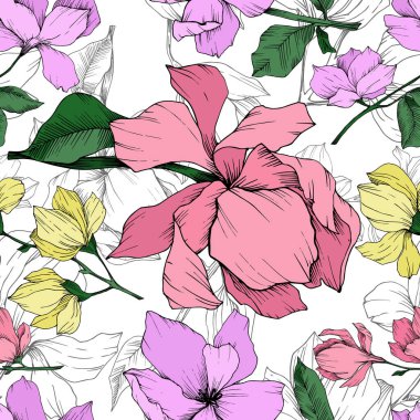 Vektör Magnolia çiçek botanik çiçekleri. Siyah beyaz işlemeli mürekkep sanatı. Kusursuz arkaplan deseni.