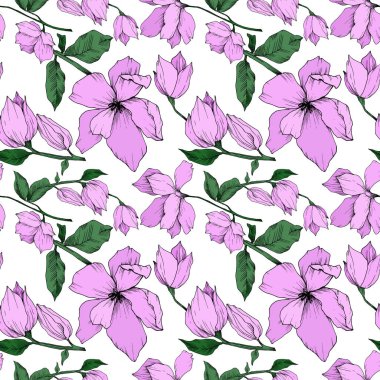 Vektör Magnolia çiçek botanik çiçekleri. Siyah beyaz işlemeli mürekkep sanatı. Kusursuz arkaplan deseni.