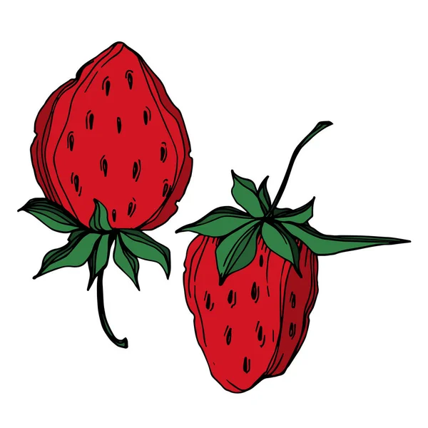 Vektor Erdbeere frische Beeren gesunde Nahrung. Schwarz-weiß gestochene Tuschekunst. isoliertes Erdbeer-Illustrationselement. — Stockvektor