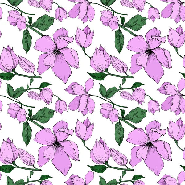 Vektör Magnolia çiçek botanik çiçekleri. Siyah beyaz işlemeli mürekkep sanatı. Kusursuz arkaplan deseni.
