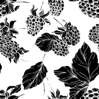 Böğürtlen sağlıklı yemek. Siyah beyaz işlemeli mürekkep sanatı. Kusursuz bir arka plan modeli. Kumaş duvar kağıdı baskı dokusu.