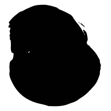 Vektör siyah fırça çemberi. Siyah beyaz işlemeli mürekkep sanatı. İzole edilmiş mürekkep fırçası çizim elementi.