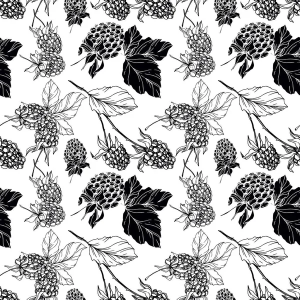 Blackberry comida saludable. Tinta grabada en blanco y negro. Patrón de fondo sin costuras. Textura de impresión de papel pintado de tela . — Vector de stock