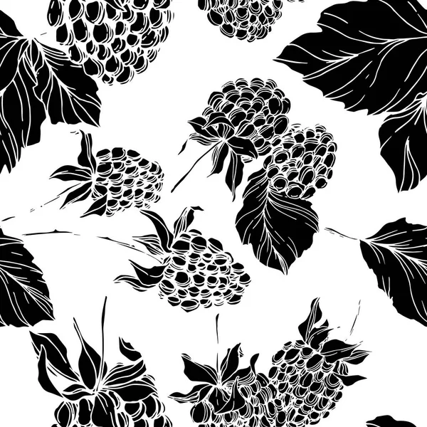 Blackberry comida saludable. Tinta grabada en blanco y negro. Patrón de fondo sin costuras. Textura de impresión de papel pintado de tela . — Vector de stock
