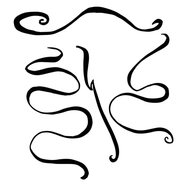 Vector monogram kalligrafisch element. Zwart-wit gegraveerde inktkunst. Geïsoleerde monogranieten illustratie-element. — Stockvector