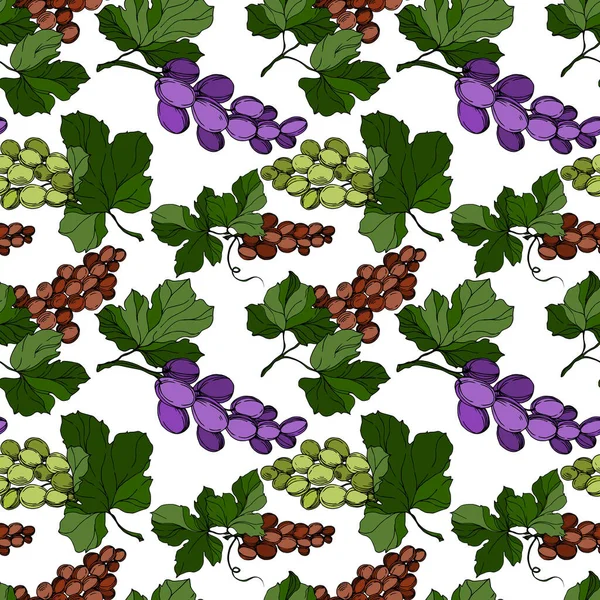Druivenbes gezond voedsel. Zwart-wit gegraveerde inktkunst. Naadloze achtergrond patroon. — Stockvector