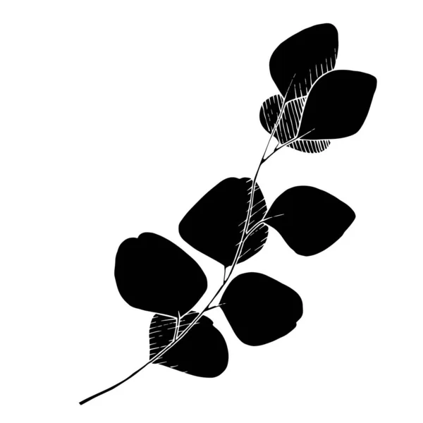 Векторный эвкалипт покидает ветку. Черно-белый рисунок чернил. Изолированный элемент иллюстрации ветвей . — стоковый вектор