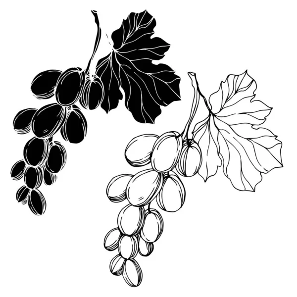 Latar Belakang Vektor Anggurストックベクター ロイヤリティフリーlatar Belakang Vektor Anggur イラスト ページ 66 Depositphotos