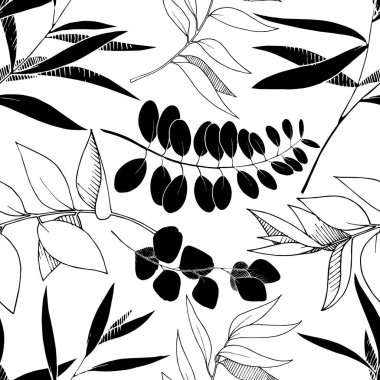 Vektör Okaliptüs daldan ayrılıyor. Siyah beyaz işlemeli mürekkep sanatı. Kusursuz arkaplan deseni.