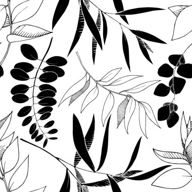 Vektör Okaliptüs daldan ayrılıyor. Siyah beyaz işlemeli mürekkep sanatı. Kusursuz arkaplan deseni.