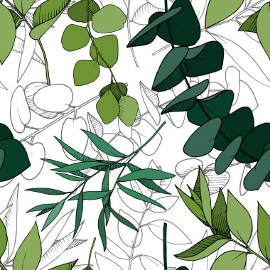 Vektör Okaliptüs daldan ayrılıyor. Siyah beyaz işlemeli mürekkep sanatı. Kusursuz arkaplan deseni.