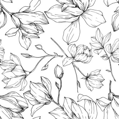 Vektör Magnolia çiçek botanik çiçekleri. Siyah beyaz işlemeli mürekkep sanatı. Kusursuz arkaplan deseni.