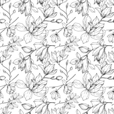 Vektör Magnolia çiçek botanik çiçekleri. Siyah beyaz işlemeli mürekkep sanatı. Kusursuz arkaplan deseni.