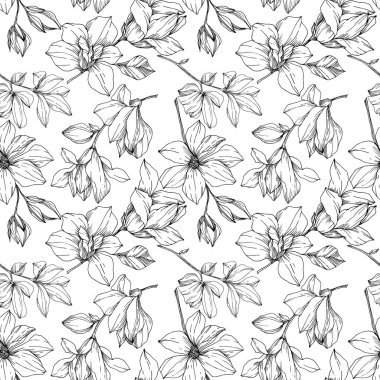 Vektör Magnolia çiçek botanik çiçekleri. Siyah beyaz işlemeli mürekkep sanatı. Kusursuz arkaplan deseni.