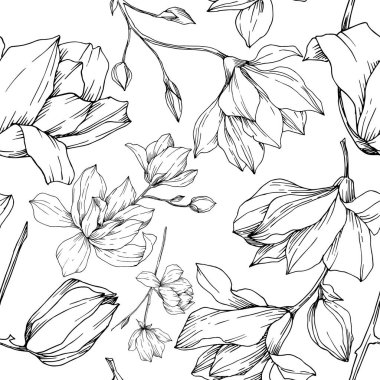 Vektör Magnolia çiçek botanik çiçekleri. Siyah beyaz işlemeli mürekkep sanatı. Kusursuz arkaplan deseni.