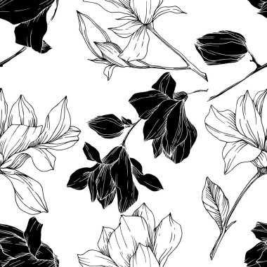 Vektör Magnolia çiçek botanik çiçekleri. Siyah beyaz işlemeli mürekkep sanatı. Kusursuz arkaplan deseni.