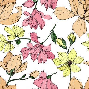 Vektör Magnolia çiçek botanik çiçekleri. Siyah beyaz işlemeli mürekkep sanatı. Kusursuz arkaplan deseni.