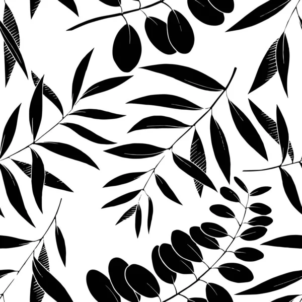 Vector Eucalyptus deja rama. Tinta grabada en blanco y negro. Patrón de fondo sin costuras . — Vector de stock