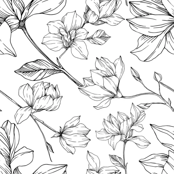 Vector Magnolia flores botánicas florales. Tinta grabada en blanco y negro. Patrón de fondo sin costuras . — Vector de stock