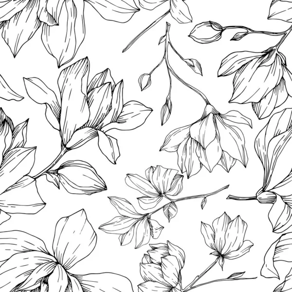 Vector Magnolia flores botânicas florais. Tinta gravada a preto e branco. Padrão de fundo sem costura . — Vetor de Stock