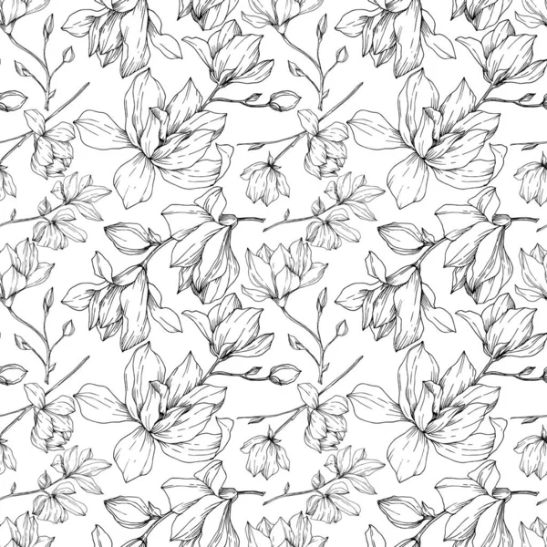 Vector Magnolia flores botánicas florales. Tinta grabada en blanco y negro. Patrón de fondo sin costuras . — Vector de stock