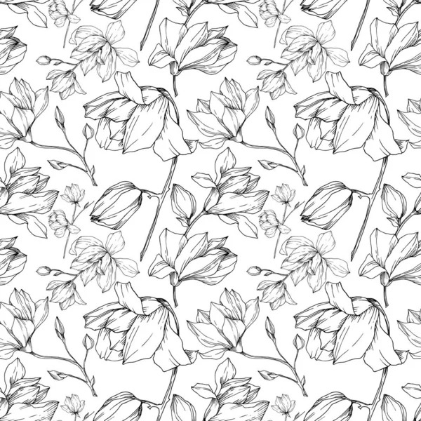 Vector Magnolia flores botânicas florais. Tinta gravada a preto e branco. Padrão de fundo sem costura . — Vetor de Stock