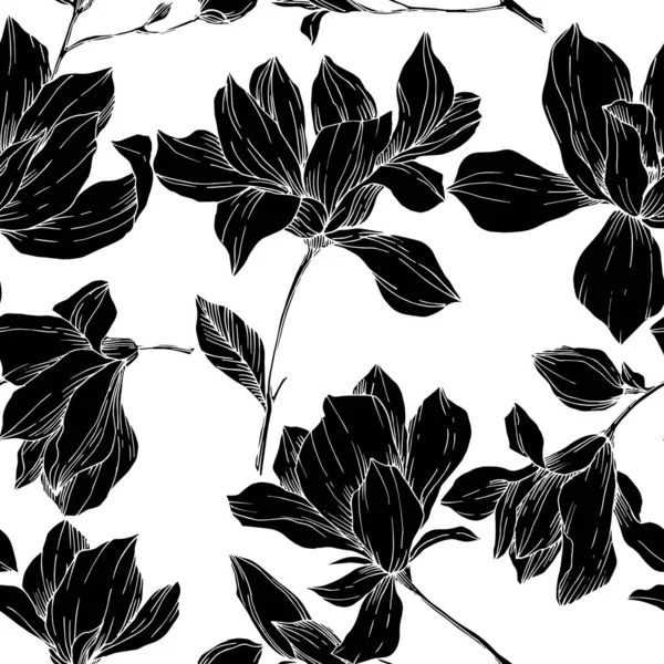 Vector Magnolia bloemen botanische bloemen. Zwart-wit gegraveerde inktkunst. Naadloze achtergrond patroon. — Stockvector