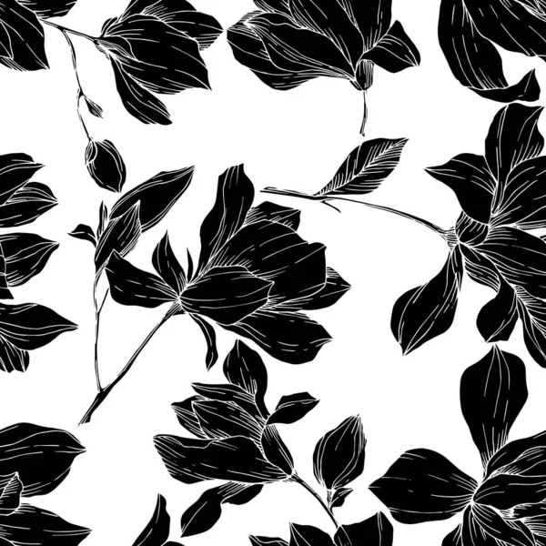 Vektor Magnolia květinové botanické květiny. Černobílý rytý inkoust. Bezproblémové pozadí vzor. — Stockový vektor