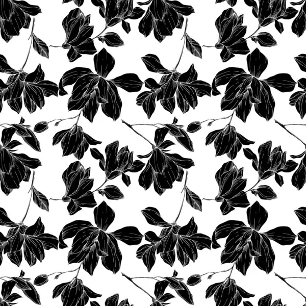 Magnolia vektor virágos botanikai virágok. Fekete-fehér vésett tinta művészet. Zökkenőmentes háttér minta. — Stock Vector