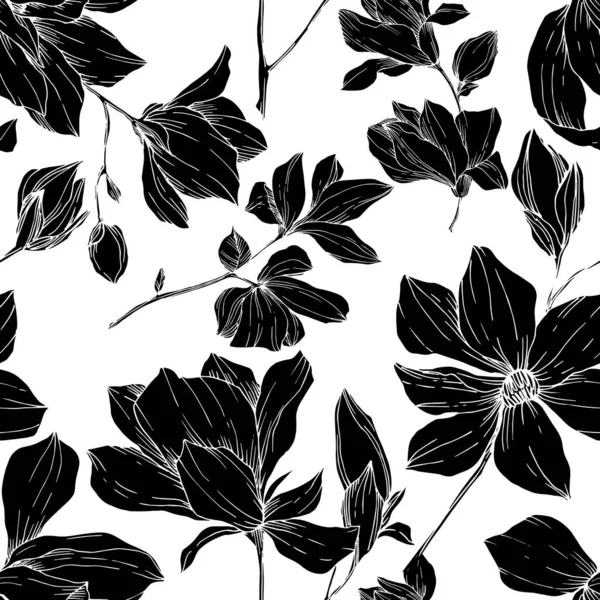 Vector Magnolia flores botánicas florales. Tinta grabada en blanco y negro. Patrón de fondo sin costuras . — Vector de stock
