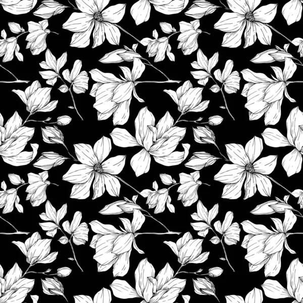 Vector Magnolia flores botánicas florales. Tinta grabada en blanco y negro. Patrón de fondo sin costuras . — Vector de stock