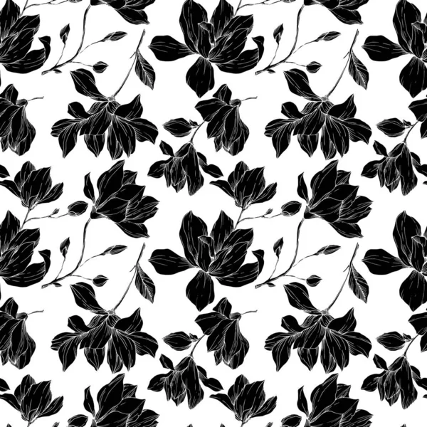 Vector Magnolia flores botânicas florais. Tinta gravada a preto e branco. Padrão de fundo sem costura . — Vetor de Stock