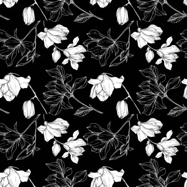 Vector Magnolia flores botânicas florais. Tinta gravada a preto e branco. Padrão de fundo sem costura . — Vetor de Stock