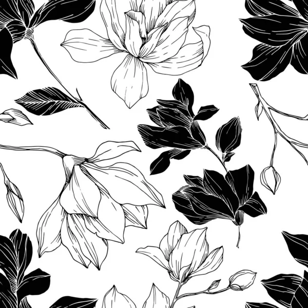 Vektor Magnolia květinové botanické květiny. Černobílý rytý inkoust. Bezproblémové pozadí vzor. — Stockový vektor