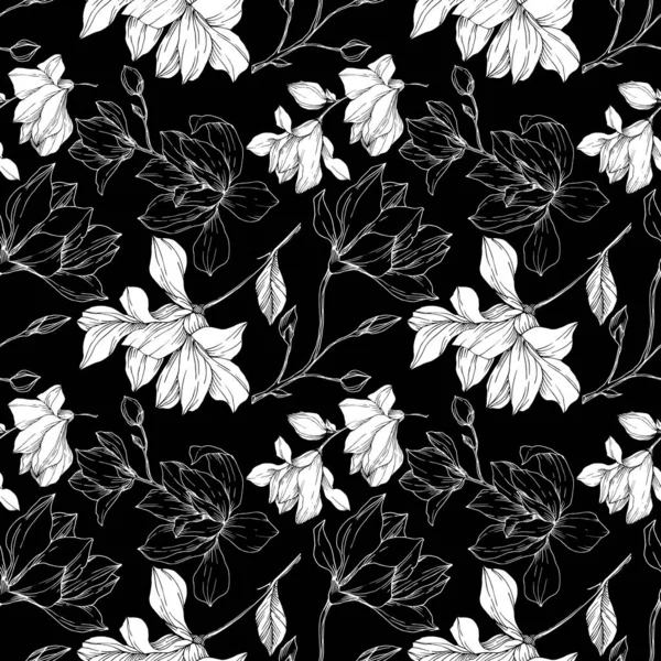 Vector Magnolia flores botánicas florales. Tinta grabada en blanco y negro. Patrón de fondo sin costuras . — Archivo Imágenes Vectoriales
