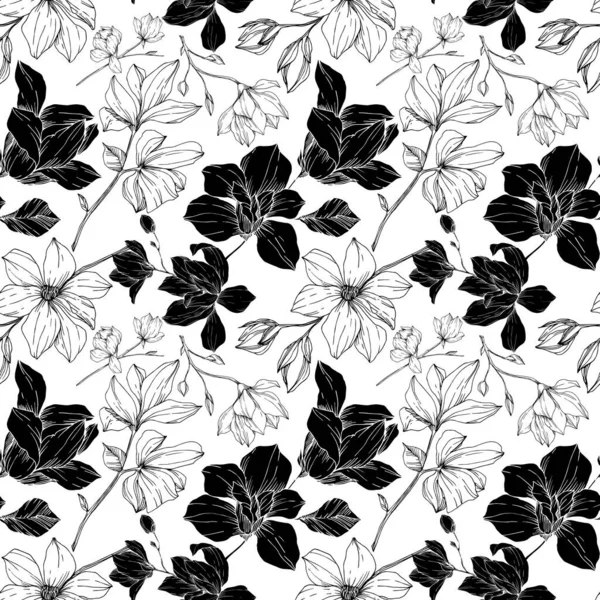 Vector Magnolia flores botánicas florales. Tinta grabada en blanco y negro. Patrón de fondo sin costuras . — Vector de stock