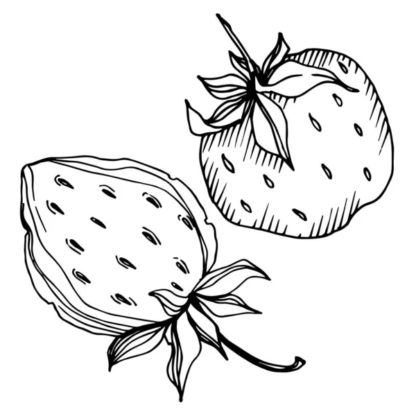 Fragola vettoriale cibo sano bacca fresca. Inchiostro inciso in bianco e nero art. Isolato elemento illustrazione fragola . — Vettoriale Stock